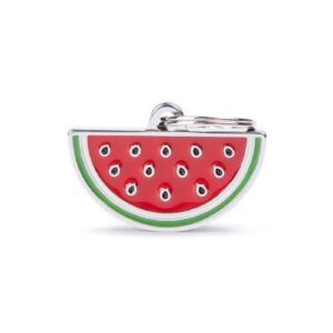 Placa para identificar Mascota my family sandia collar perro personalizable