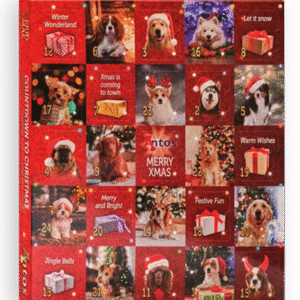 Antos calendario de adviento para perro navidad